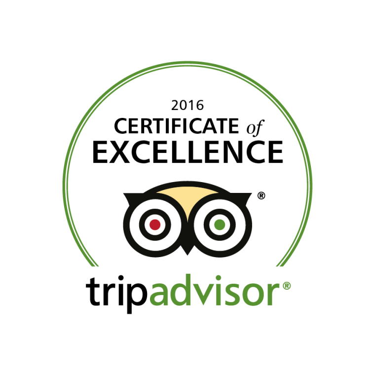 <strong>2016年卓越奖</strong></br><p><strong>TripAdvisor</strong></p>