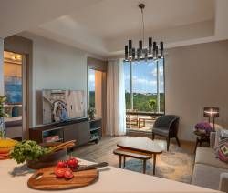 One-Bedroom Executive with View