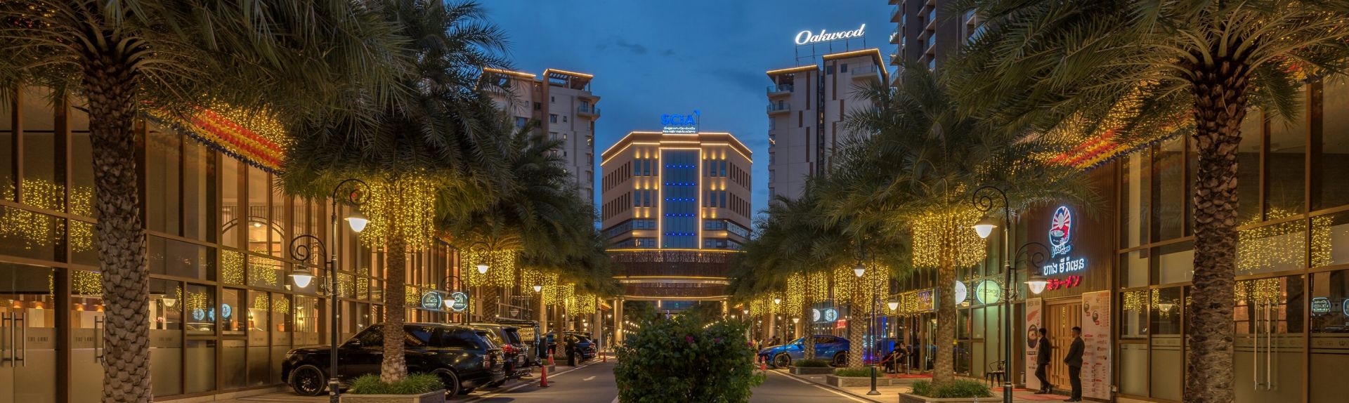 金边奥克伍德豪景公寓 位置