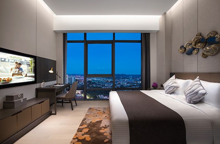 一房豪华行政套房