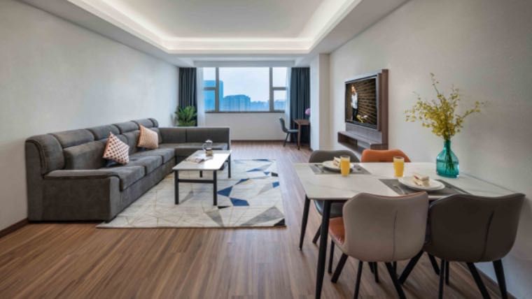 一房豪华行政公寓套房 