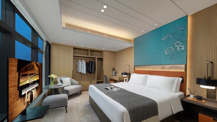 一房豪华行政公寓套房