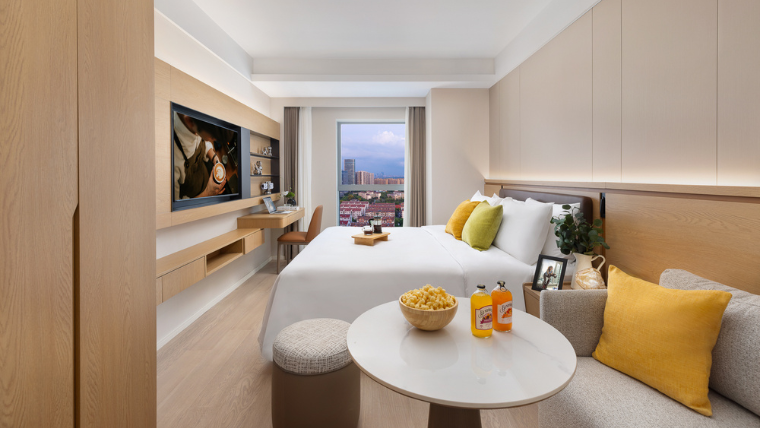 Apartments Studio DLX