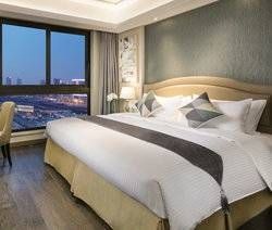 Apartment Types Sr China Nanjing Som Youth Olympic 3pre Master Bedroom Hr 53