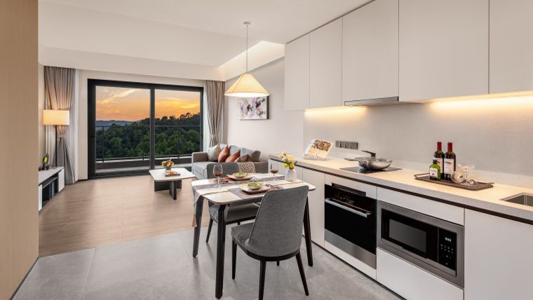 一房豪华山景套房