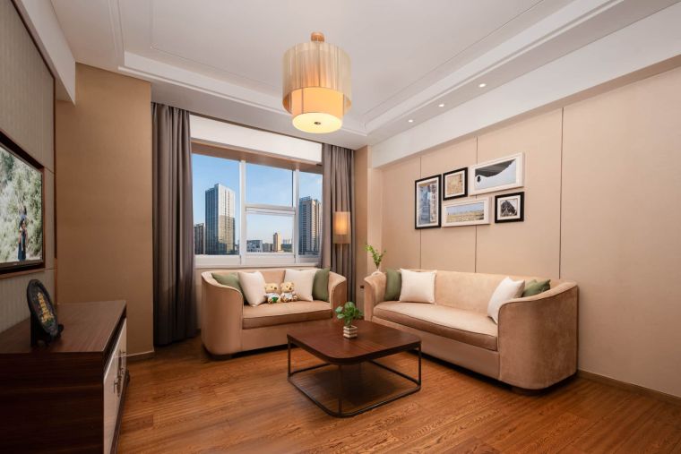 Apartment Types CN Wuhan SWW 1BRMExe Livingrm 2025 HR