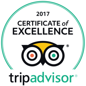 <strong>Certificate of Excellence 2017</strong></br><p>TripAdvisor</p>