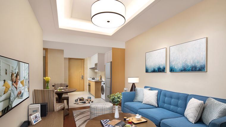 Apartment Types SR TAL China Xiamen Som Software Pk 1DLX Living Rm HR