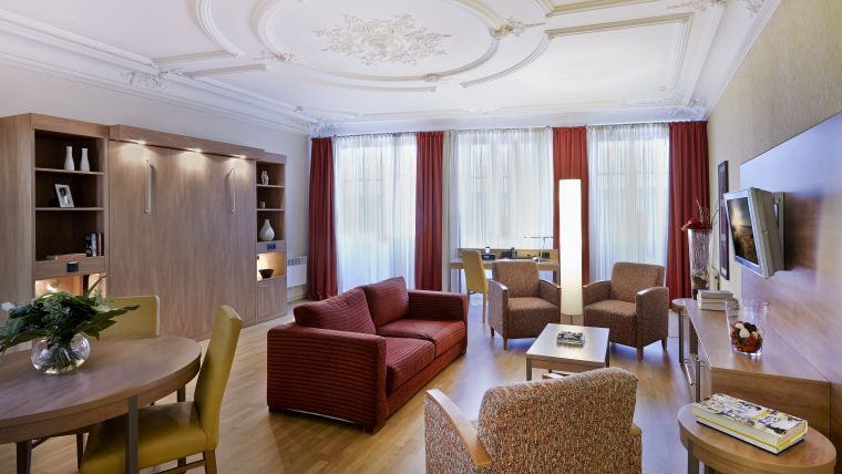 豪华一居室公寓