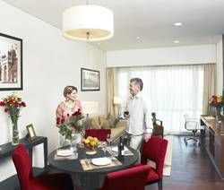 豪华行政一房式公寓