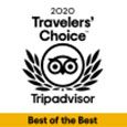 <strong>Tripadvisor Travelers' Choice 2020 Best of the Best</strong></br><div><span style="font-size: 12pt;">Top 25 Hotels for Service — Japan</span></div>
<div>Extraordinary stays with standout service.</div>