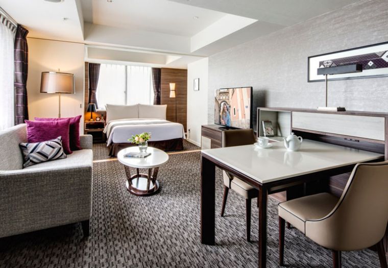 豪华一房式公寓