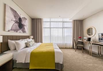 豪华一房式公寓