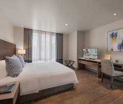 豪华一房式公寓