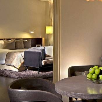 Apartment Types Sr Singapore Asc Raffles Place Brown Suite Living Room Hr 53