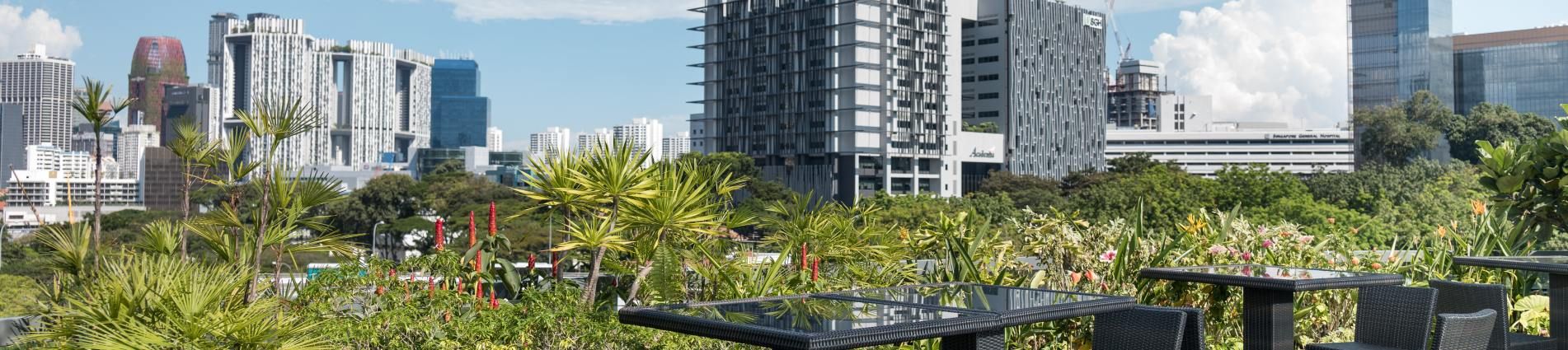 D'Hotel Singapore Overview