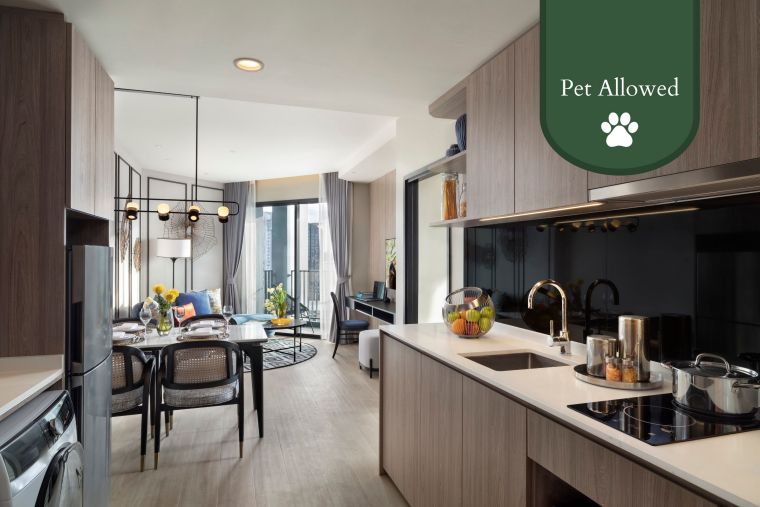 Apartmenttypes Somerset Pattaya One Bedroom Executive Pet Allowed Brandcom