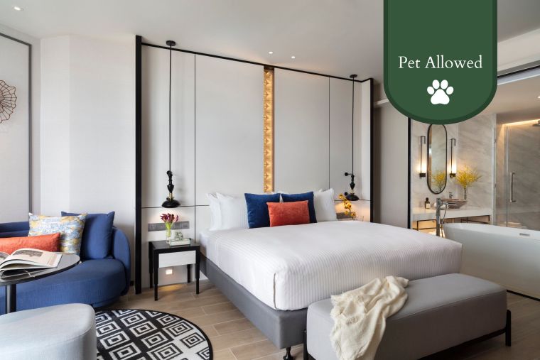 Apartmenttypes Somerset Pattaya Studio Executive Pet Allowed Brandcom