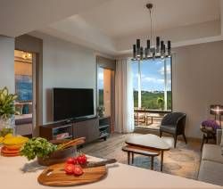 一房式行政套房