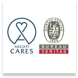 <strong>必维国际检验集团（BV）卓越卫生与安全标签</strong></br>雅诗阁关怀 x 必维国际检验集团（BV）卓越卫生与安全标签